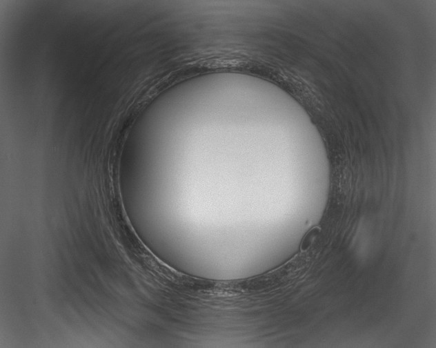 X0000084520743200702230837