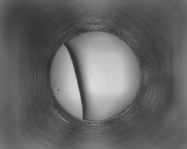 X0000084520745200702230837