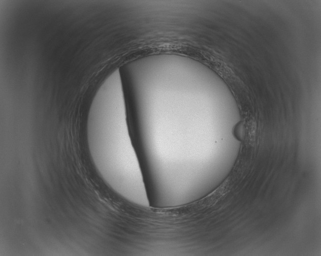 X0000084520746200702230837