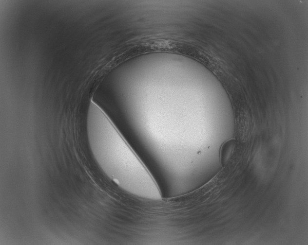 X0000084520747200702230837