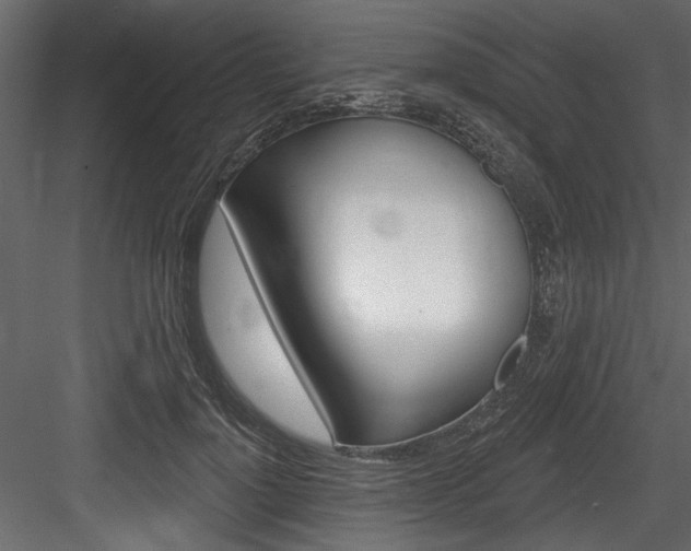 X0000084520748200702230837
