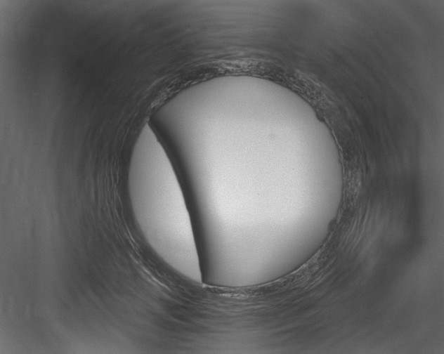 X0000084520749200702230837