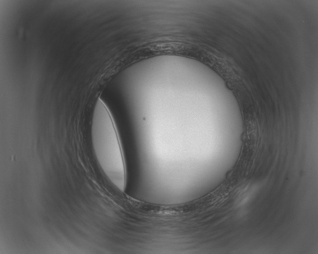 X0000084520751200702230837
