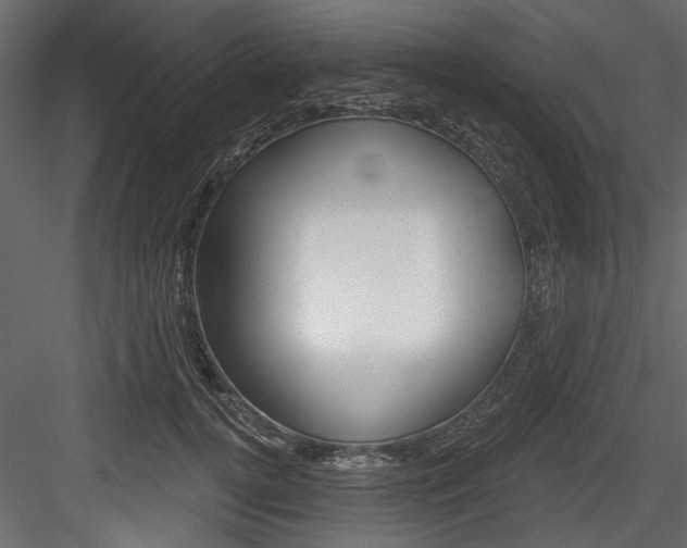 X0000084520752200702230837