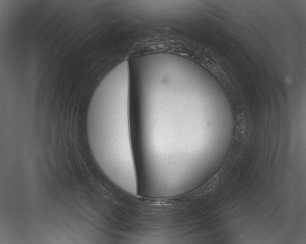 X0000084520754200702230837