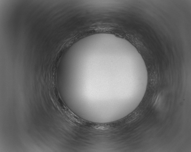 X0000084520755200702230837