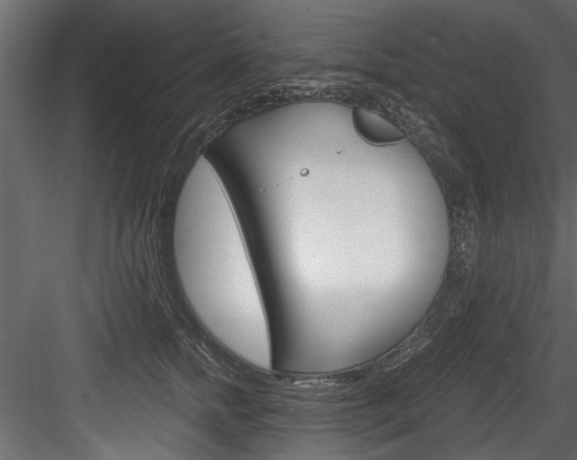 X0000084520758200702230837