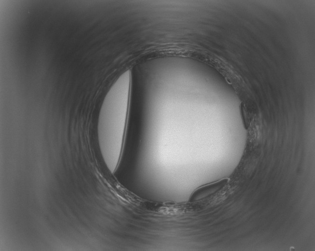 X0000084520764200702230838