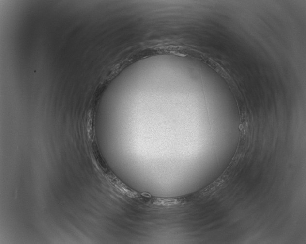 X0000084520767200702230838
