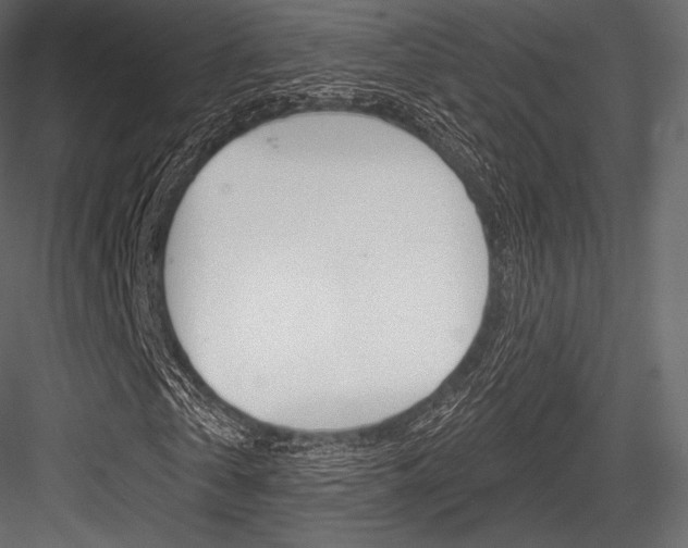 X0000084520769200702230837