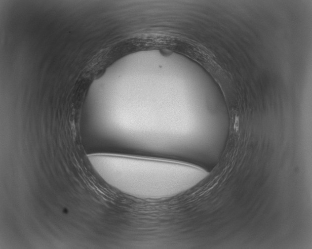 X0000084520771200702230837