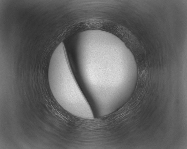 X0000084520772200702230837