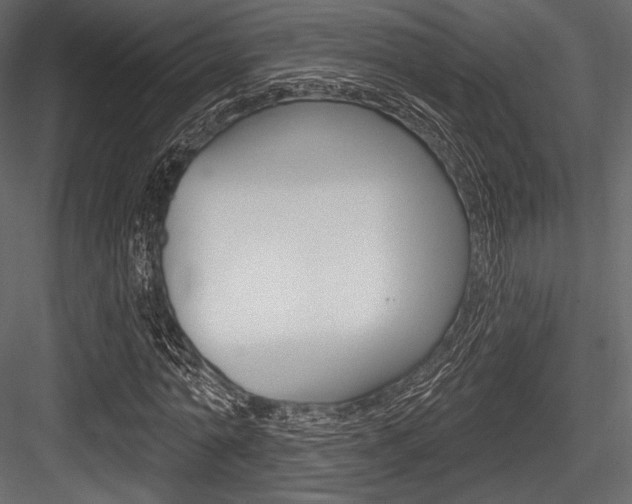 X0000084520774200702230837