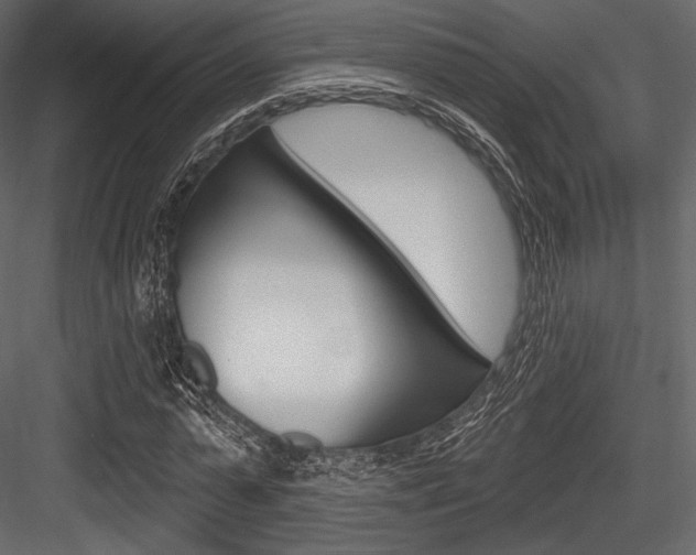 X0000084520775200702230837