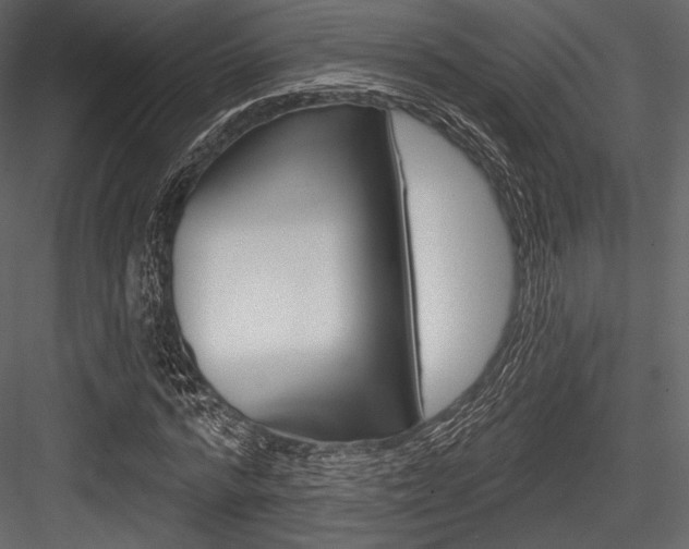 X0000084520776200702230837