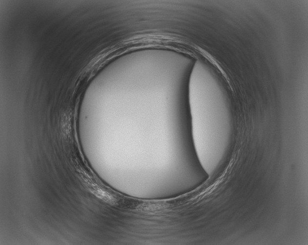 X0000084520778200702230837
