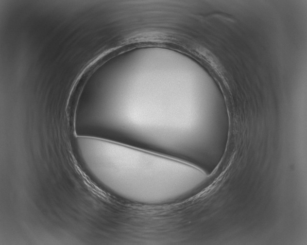 X0000084520779200702230837