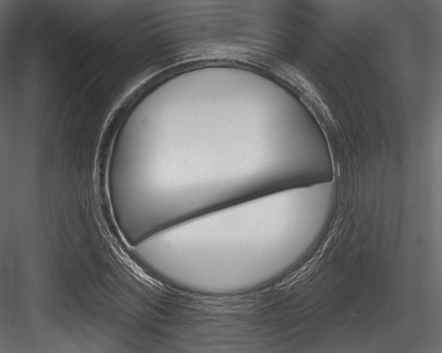 X0000084520780200702230837