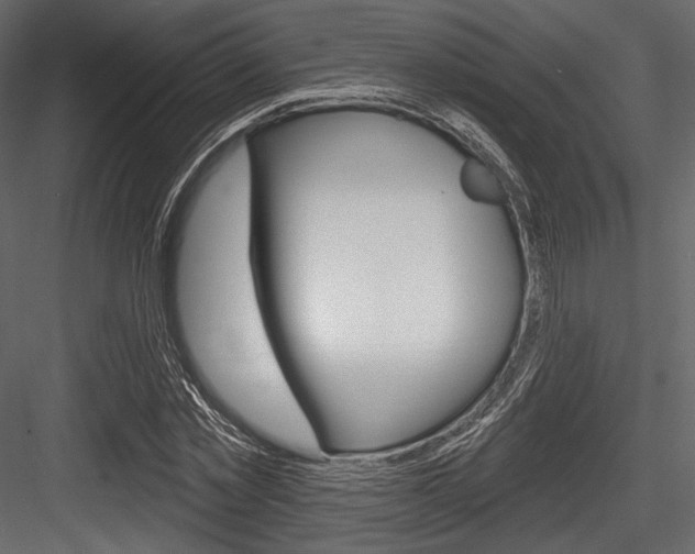 X0000084520781200702230837