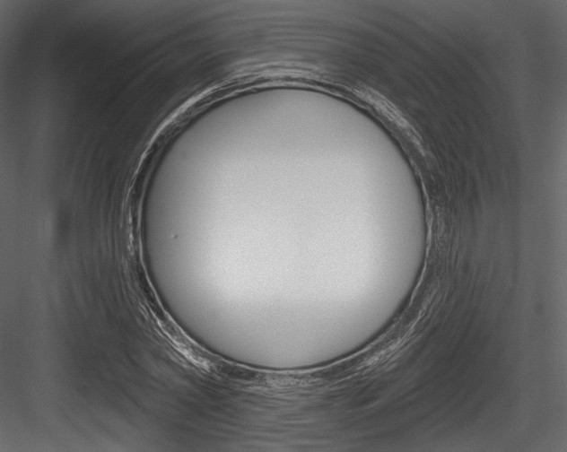 X0000084520782200702230837