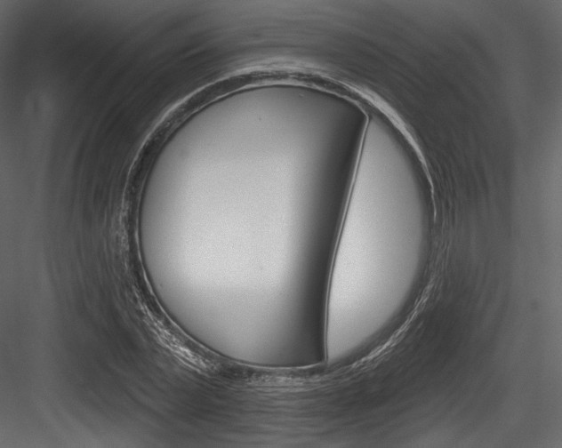 X0000084520783200702230837