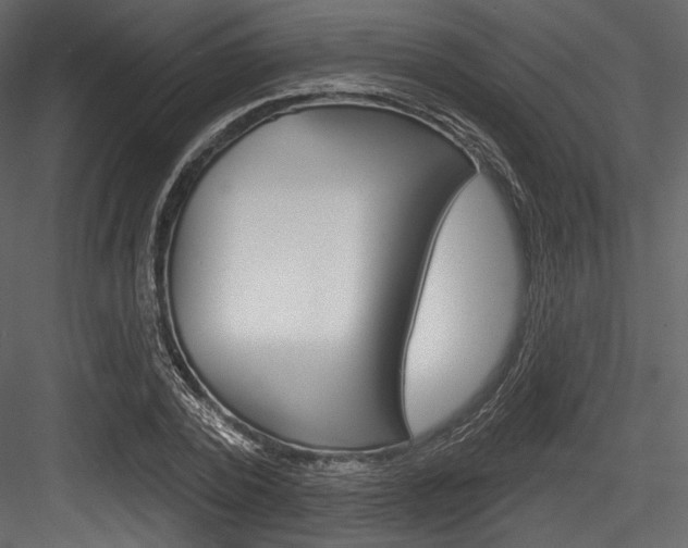 X0000084520784200702230837