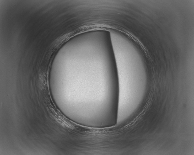 X0000084520785200702230836