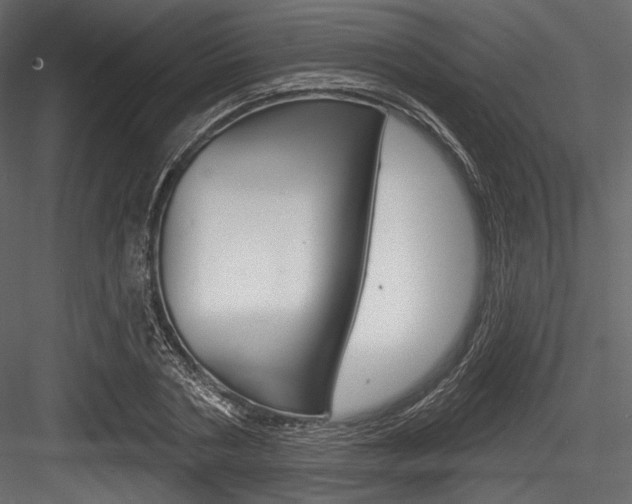 X0000084520786200702230836