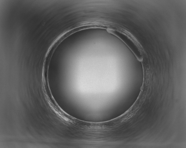 X0000084520788200702230836