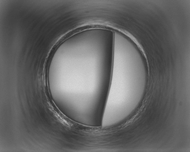 X0000084520791200702230836