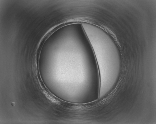 X0000084520792200702230836