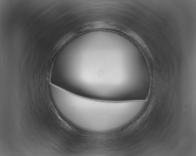 X0000084520793200702230836