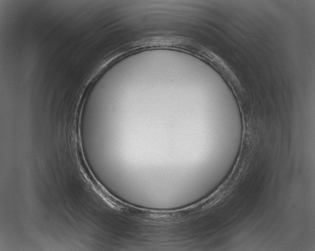 X0000084520794200702230836
