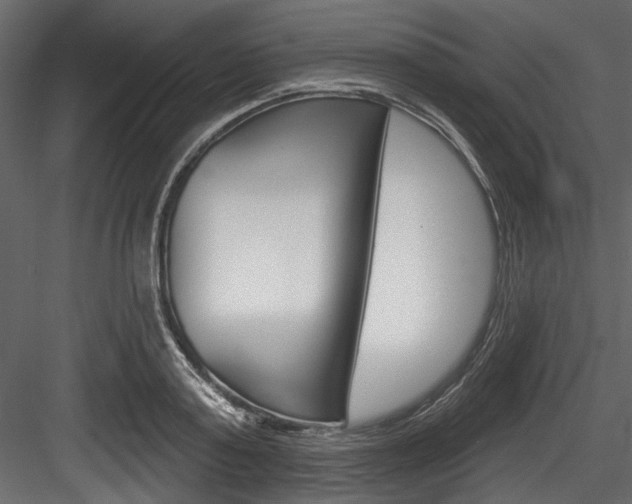 X0000084520795200702230836