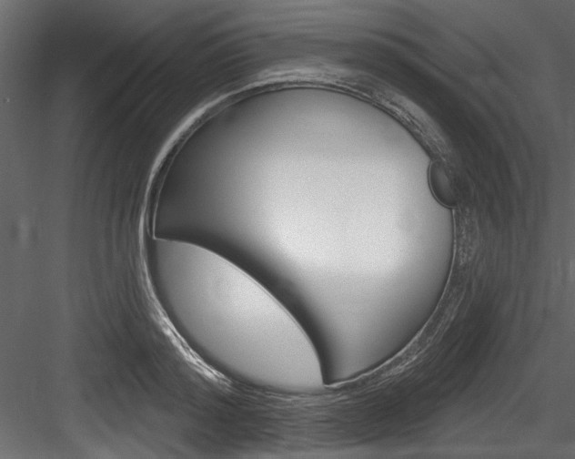 X0000084520796200702230836