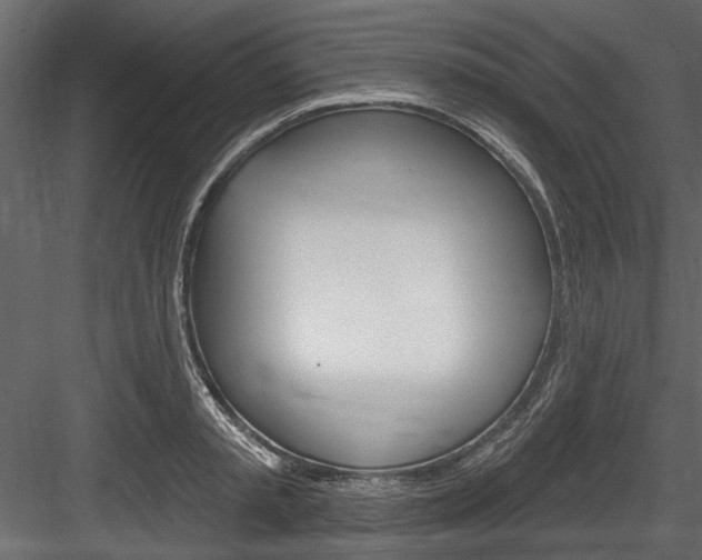 X0000084520797200702230836