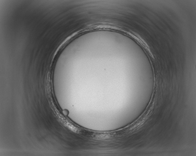 X0000084520798200702230836