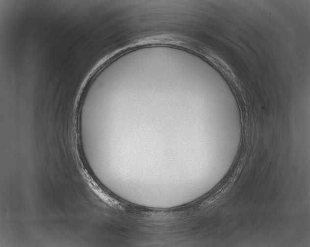 X0000084520800200702230836