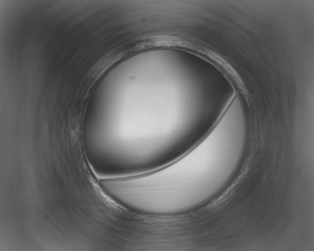 X0000084520801200702230836