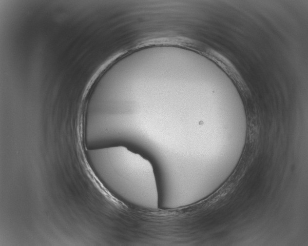 X0000084520804200702230836