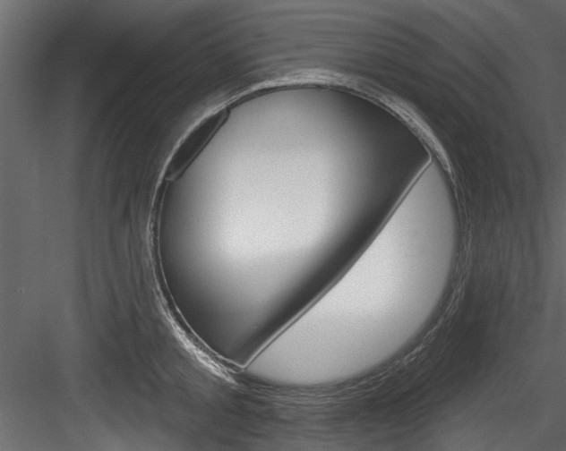X0000084520805200702230836