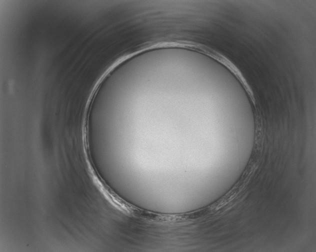 X0000084520811200702230836