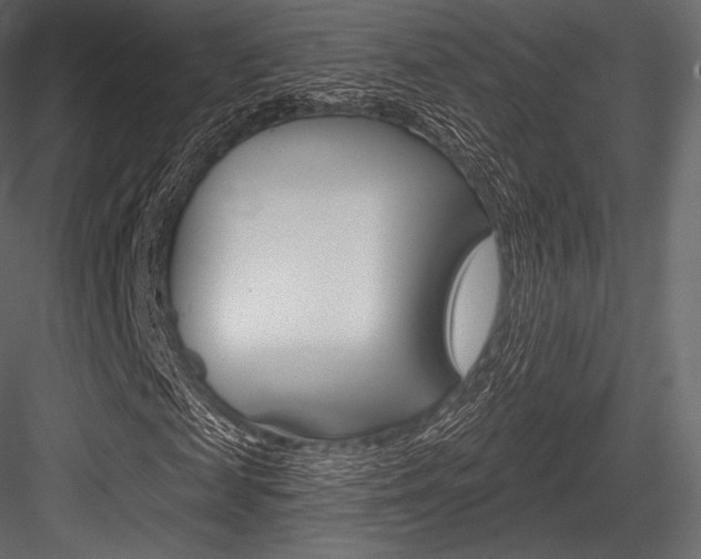 X0000084520817200702230835