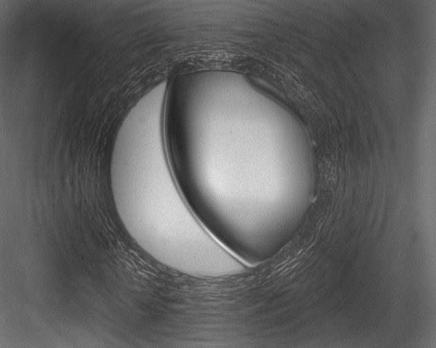 X0000084520818200702230835