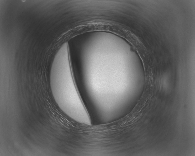 X0000084520821200702230835