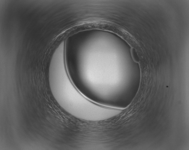 X0000084520822200702230835