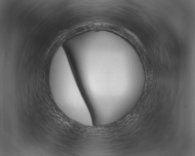 X0000084520823200702230835