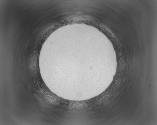 X0000084520824200702230835