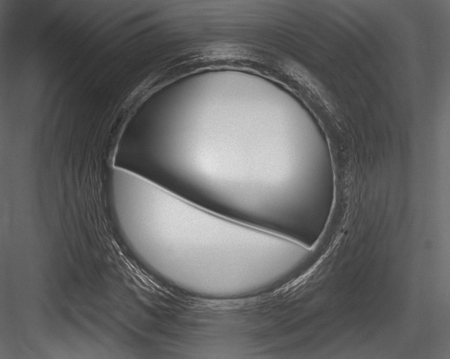 X0000084520825200702230835