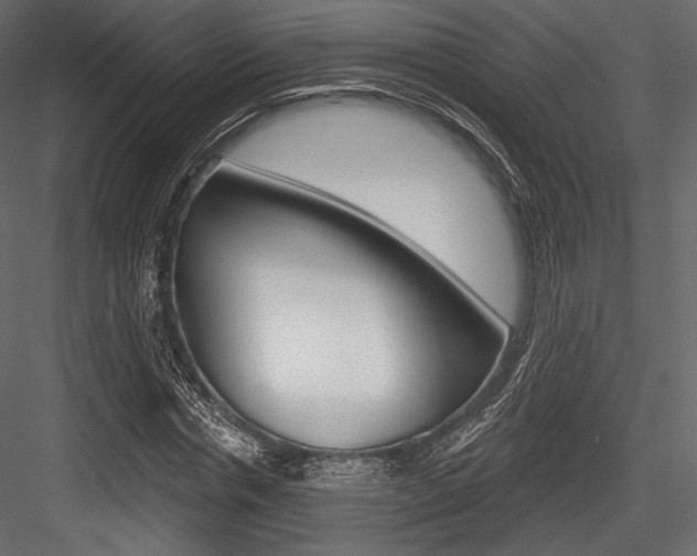 X0000084520826200702230835
